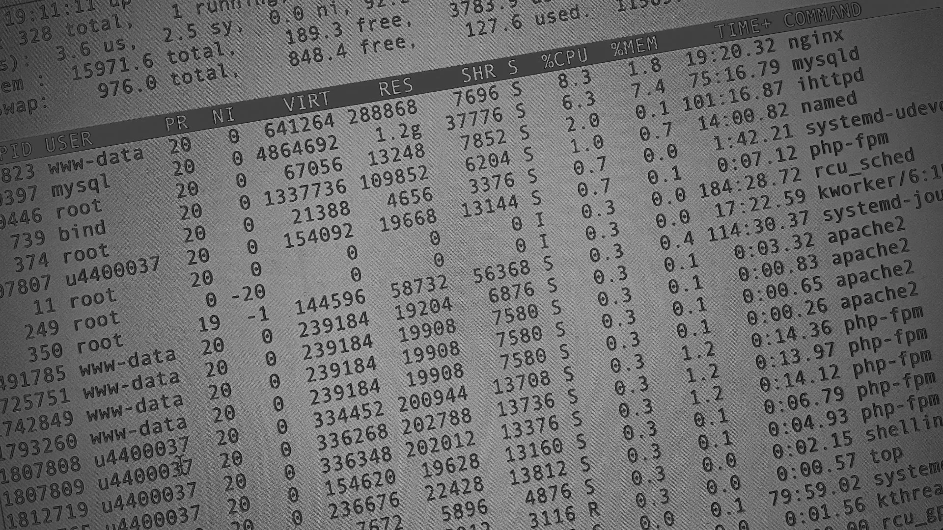 Настройка сервера в Ишиме