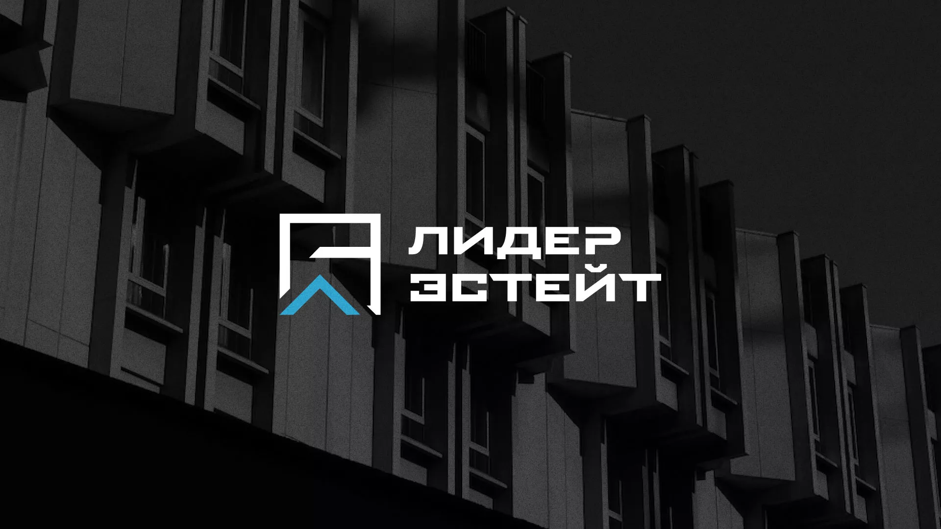 Разработка логотипа агентства недвижимости «Лидер Эстейт» в Ишиме